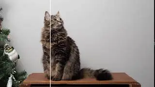 Use Slazzer and remove the background automatically in just 5 seconds.