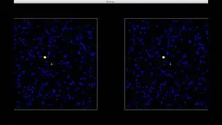 Motion Induced Blindness Demo