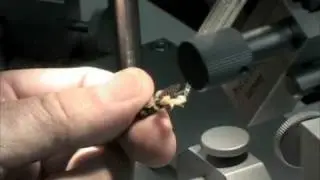 CANBE's Honey Bee Semen Cryopreservation Project