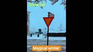 magical winter ❄️ #winterpark #travel