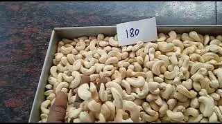 W180 - Cashew Nuts | Available on IndiaMART