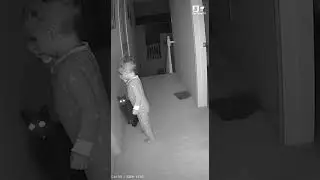 Staircase Sentinel: Black Cat Guides Sleepwalking Toddler Back from Open Stairs | Night Vision