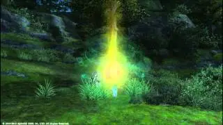 Final Fantasy XIV 1.0 - The WTF Tree