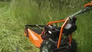 AS 63 2T от компании AS-Motor