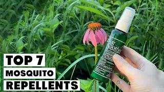 Top 7 Mosquito Repellents You Need This Summer