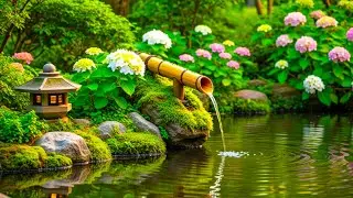 Live Soothing Relaxing Music 🌿 Stress Relief, Deep Sleep Music, Calming Nature Sounds #7
