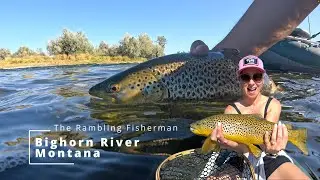 Bighorn River - Monster Brown Trout