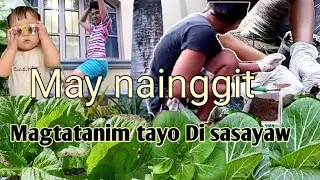 Planting Vegetables  by FAKE FARMERS  may nainggit 😂😂(quaranThing)