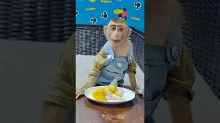 Bryan sit for mom feed fruit to him