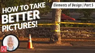 How to Take Better Pictures! - Elements of Design | Part 5