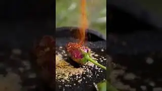 Rose day Best  memes 🌹🌹😂😂😂