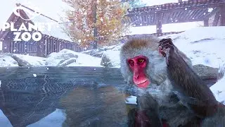 Making a Cosy Japenese Macaque Habitat in a Winter Zoo