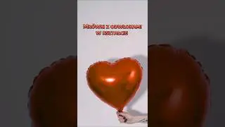 Mr&oacute;wki z serduszkiem ❤️ Poznaj Crematogaster scutellaris #antcenter #ants #formikarium #mr&oacute;wki
