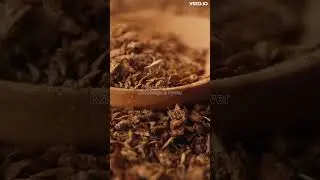 Know About Cumin Seeds