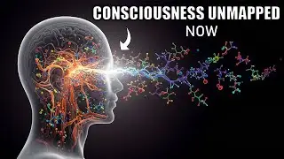 Is Consciousness a Quantum Field We Haven&rsquo;t Mapped Yet?