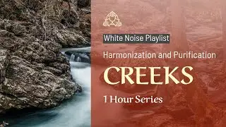 Creek Sound White Noise | Water Sounds For Sleeping | Looped | 1 Hour | Dreamy Vibes