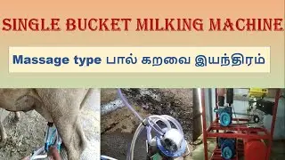 Massage type milking machine/ Fixed single bucket / Quality milking machine call 9042471010