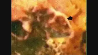 Death Glaze - Perilous Bog