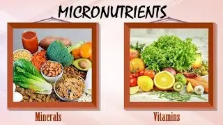 Micronutrients- Vitamins