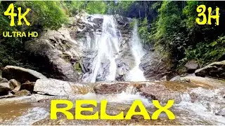 🪷 MEDITACIÓ RELAXANT, SOROLL BLANC, CASCADA, SONS DE LA NATURA, RIU DE JUNGLA TAILANDESA, ÀSIA.