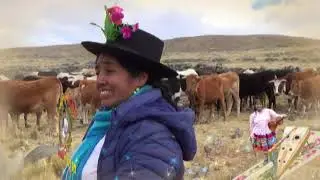 HERRANZA EN OCAÑA ILLAWASI - CON  HUAMANRIPITA DE LUCANAMARCA JULIO 2019