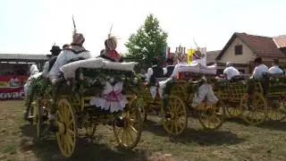 35. KONJI BIJELCI - Babina Greda 2015