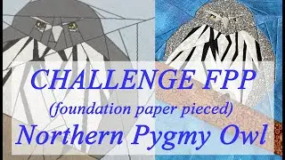 Bird of the Month February 2023 - Northern Pygmy Owl Quilt Block - FPP assembly | Advanced FPP