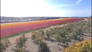 VID 20240407 165140 00 139