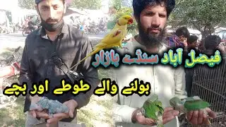 Faisalabad Sunday Birds Market || 31-03-2024 || Latest Update