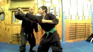 Butokukai Dojo Ninjutsu Bujinkan (clip)