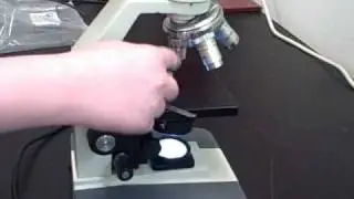 preparing a wet mount.wmv