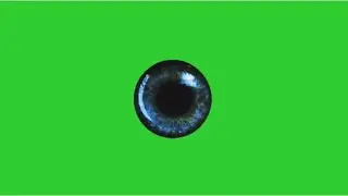Eye ball moving green screen footage