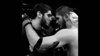 Самый легендарный и долгожданный бой в истории UFC #рекомендации #ufc #boxing #mma #нокаут #khabib
