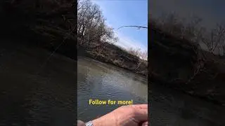 Fliegenfischen im Winter! #art #fishing #viralvideo #flyfishing
