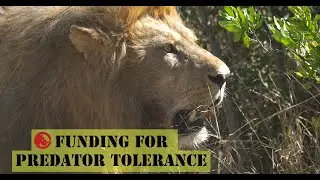 Funding For Predator Tolerance