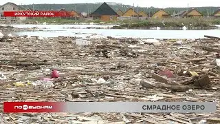 Озеро с мусором и останками животных появилось в Иркутском районе