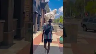 Peter La Anguila Estafado En Plena Calle! 😬🫣 #chisme #viral #latinos #trendingshorts #foryou