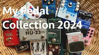 My Pedal Collection 2024