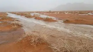 امطار حايل 19/71439