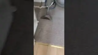 Carpet cleaning Ouston County Durham