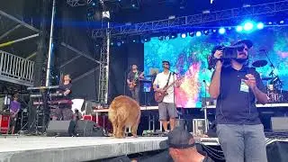 Stick Figure ~ Cocoa walking the cat walk at Sunfest 2019 #cocoathetourdog #stickfigure #sunfest