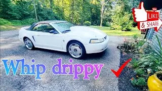First mods totally changed SN95 Ford mustang new edge 2v