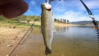 Castaic Lake Trout fishing 4/16/24