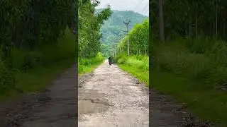 Mor mor machye shor 🦚|| sawan || harharmahadev || #trend #viral #