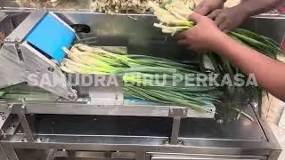 MESIN PENCACAH DAUN BAWANG (SAYUR) SAMUDRA BIRU PERKASA