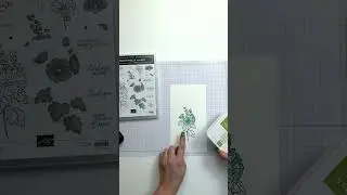 Beautifully Happy Stamp Set