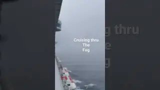 Cruising the fog in the Pacific Ocean #discoveryprincess #princesscruises #alaska #cruising #cruise