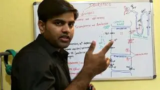 Diuretics part 4/4 USMLE first aid revision renal system