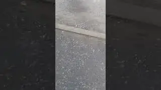 Снег не выпал, коммунальщики уже посыпали реагенты. 07.12.25г.