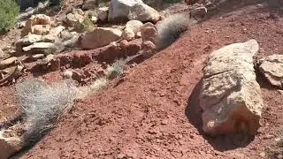 Spring Break in Colorado National Monument Day 1